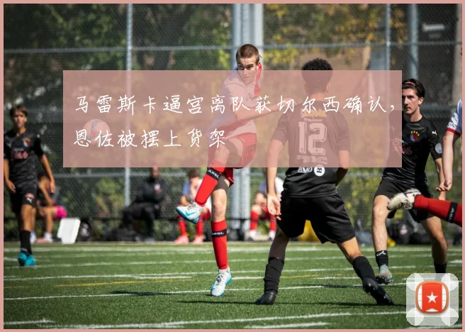 马雷斯卡逼宫离队获切尔西确认，恩佐被摆上货架