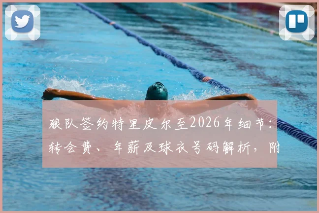 狼队签约特里皮尔至2026年细节：转会费、年薪及球衣号码解析，附官宣时间预测
